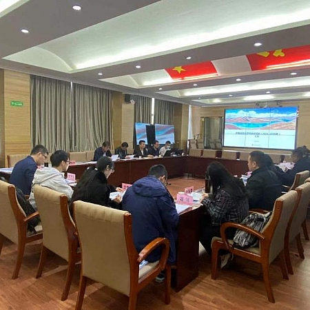 我院国土空间规划项目参加西藏自治区技术预审获好评